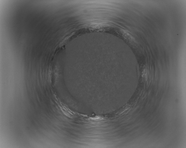 X0000071790868200607071453
