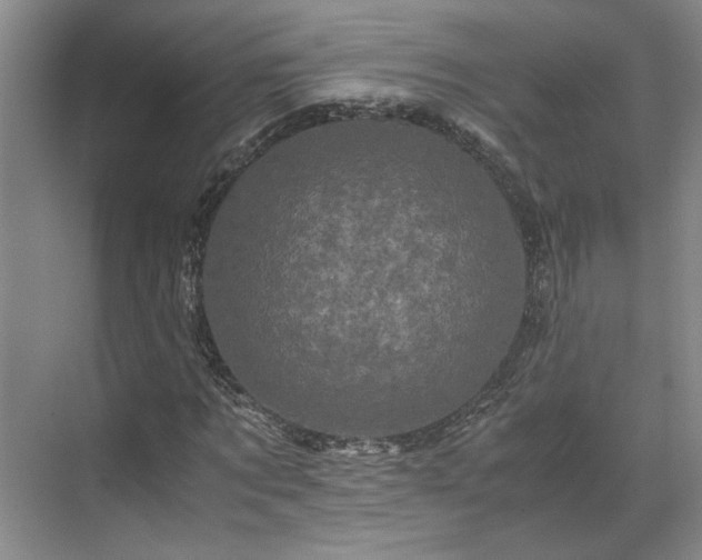 X0000071790869200607071453