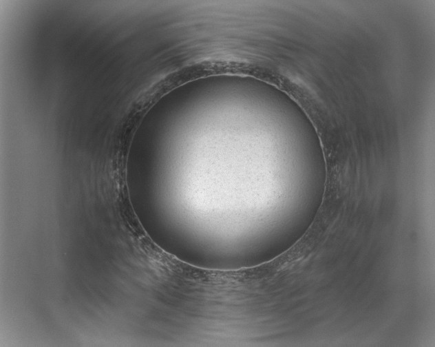 X0000071790870200607071453