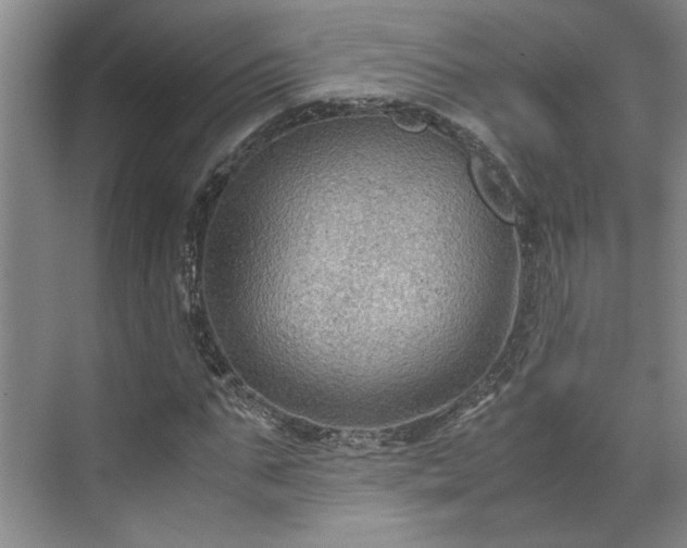 X0000071790871200607071453