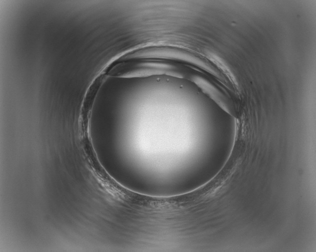 X0000071790876200607071453