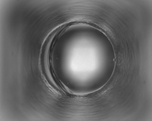 X0000071790880200607071453