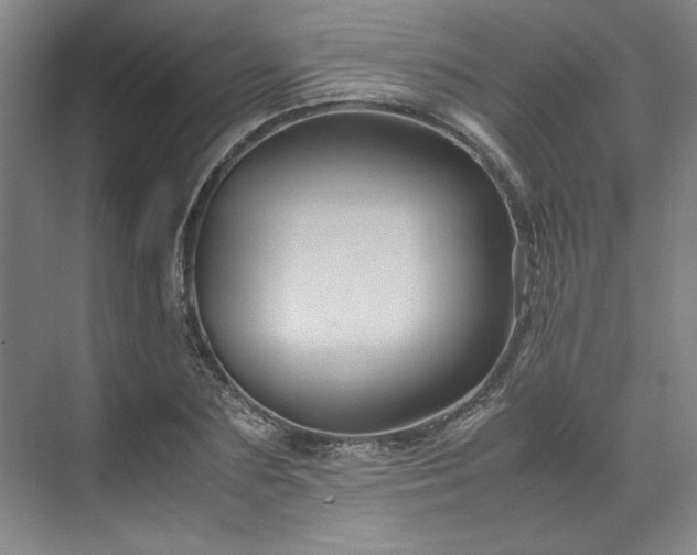 X0000071790883200607071453