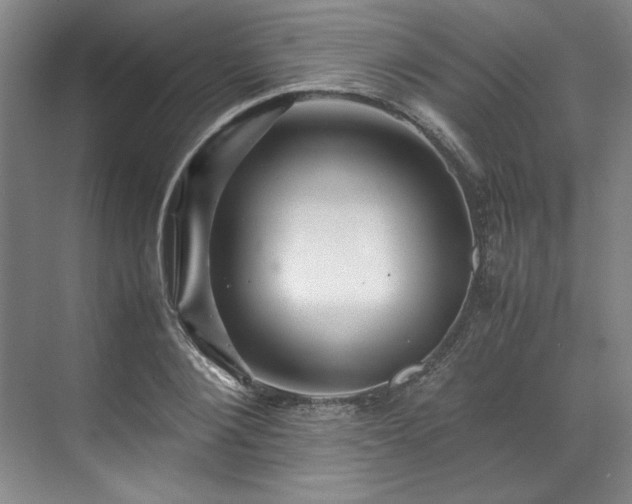X0000071790884200607071453