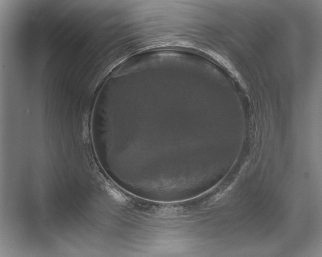 X0000071790889200607071453