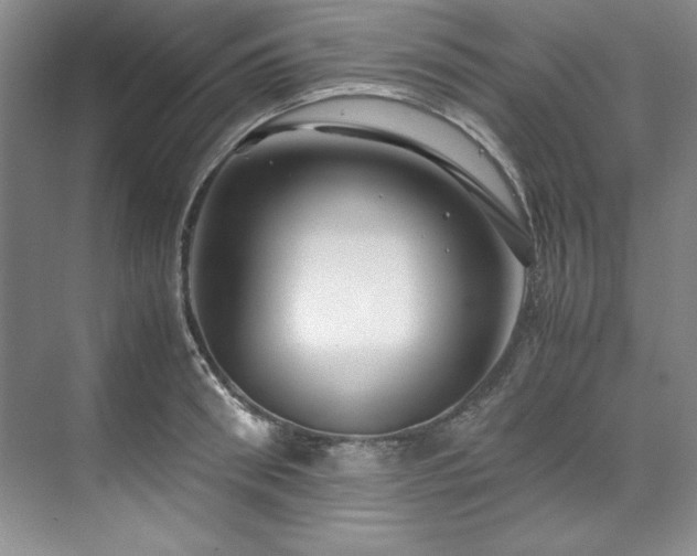 X0000071790898200607071452