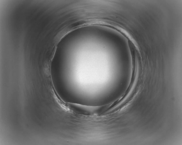 X0000071790905200607071452