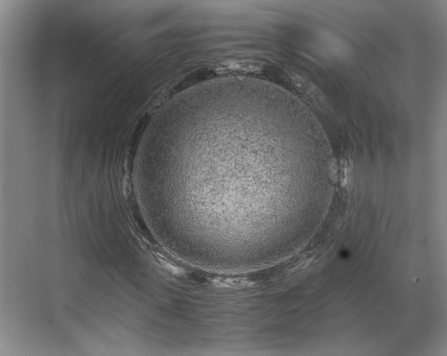 X0000071790915200607071451