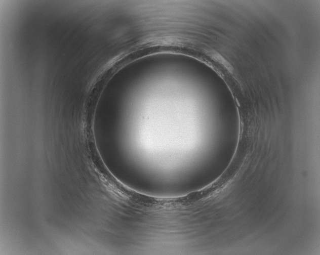 X0000071790922200607071451