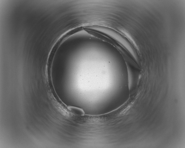 X0000071790932200607071452