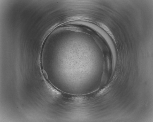 X0000071790946200607071452