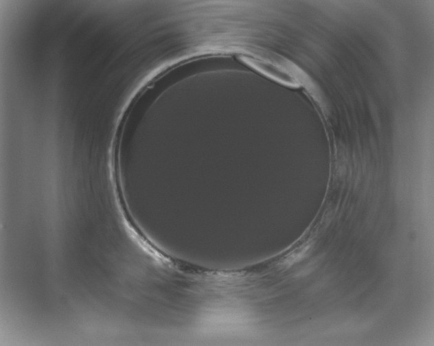 X0000071790958200607071452