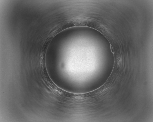 X0000071790964200607071451