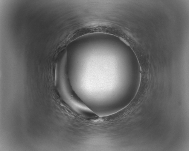 X0000071790965200607071451