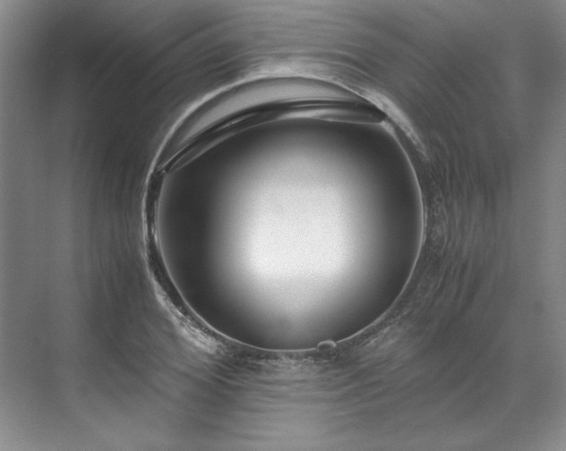X0000071790980200607071451