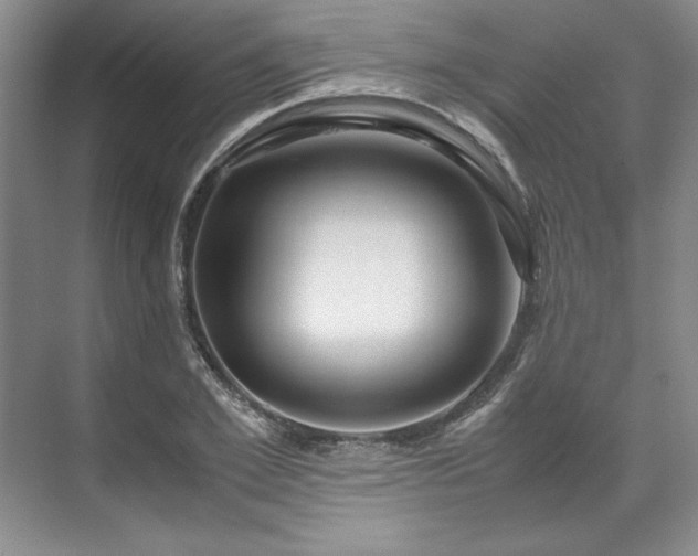 X0000071790981200607071451