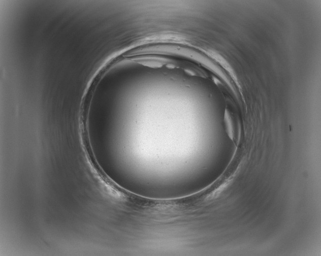 X0000071790989200607071451