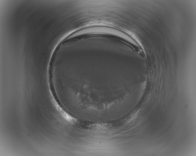 X0000071790995200607071451