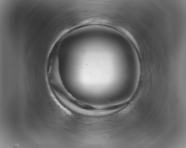 X0000071790997200607071451
