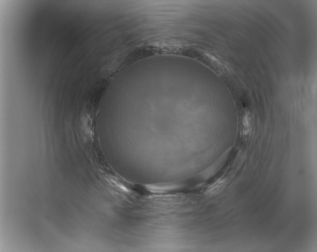 X0000071791010200607071450