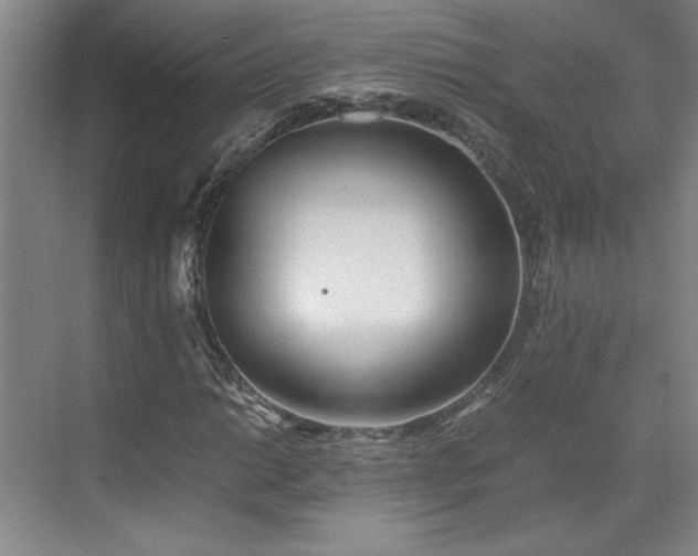 X0000071791014200607071450