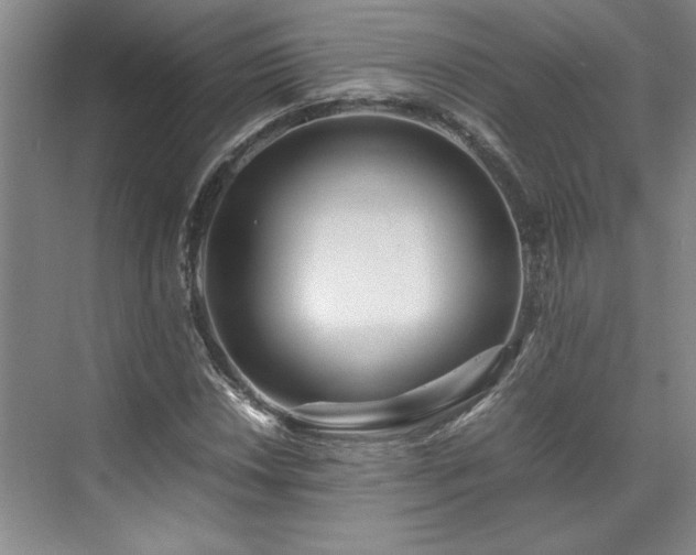 X0000071791018200607071450