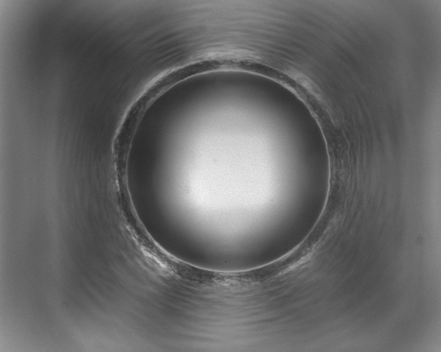 X0000071791022200607071450