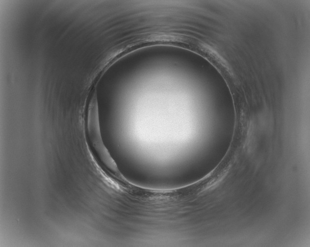 X0000071791033200607071450