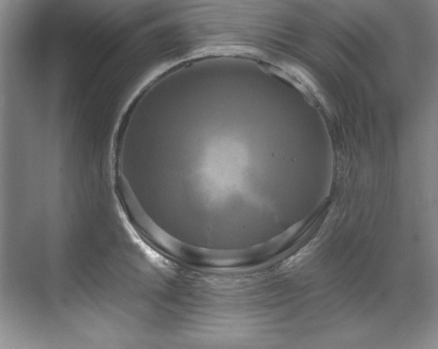 X0000071791046200607071450