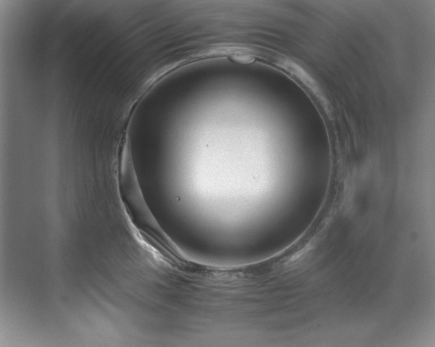 X0000071791049200607071450