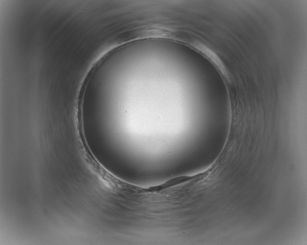 X0000071791051200607071450