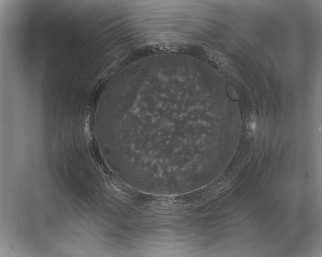 X0000071791060200607071450