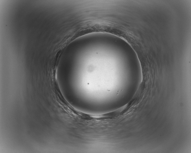X0000071791061200607071450
