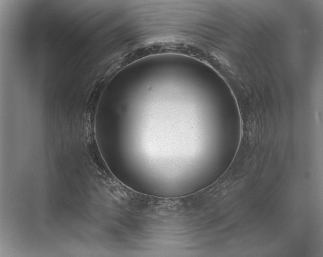 X0000071791062200607071450