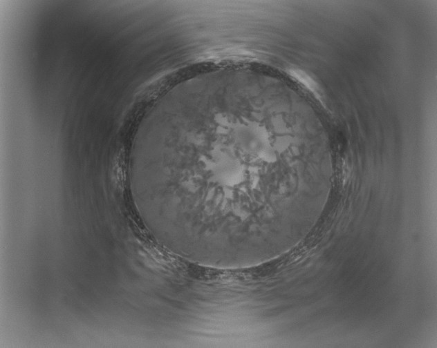 X0000071791063200607071450