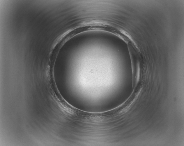 X0000071791066200607071450