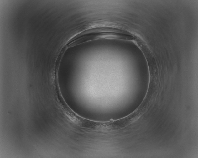 X0000071791073200607071449