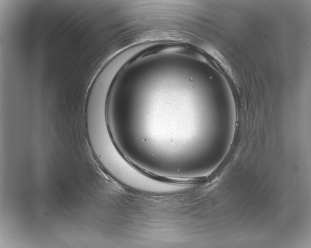 X0000071791089200607071449