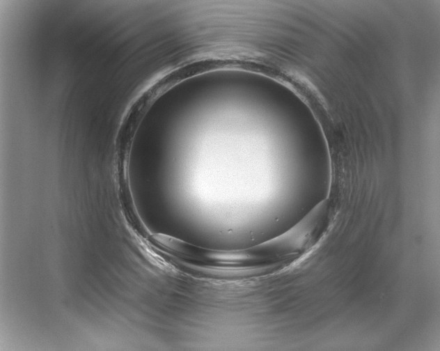 X0000071791114200607071448