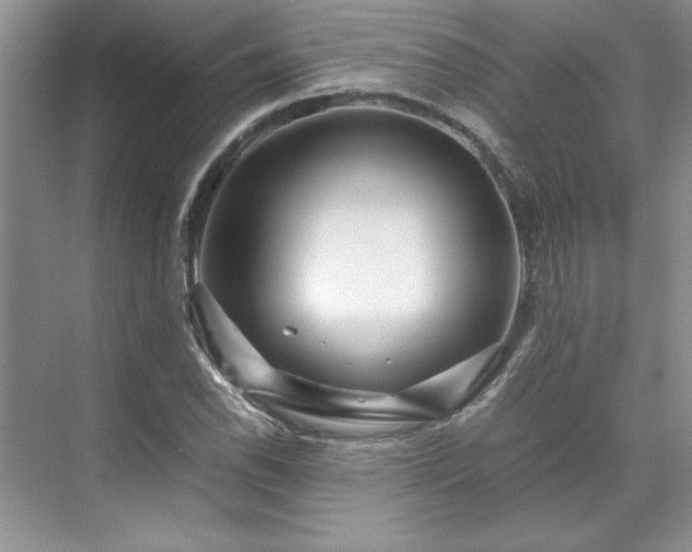X0000071791118200607071448