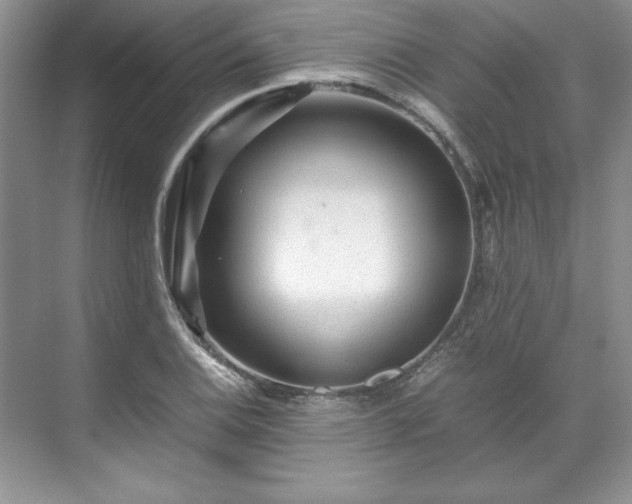 X0000071791124200607071448