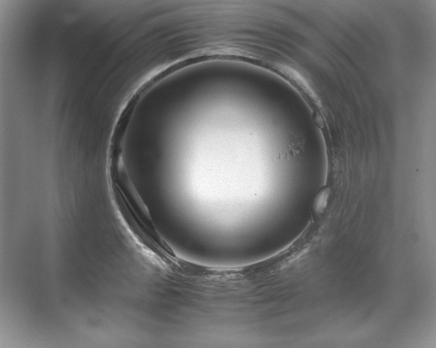 X0000071791133200607071449