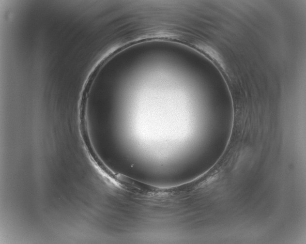 X0000071791135200607071449