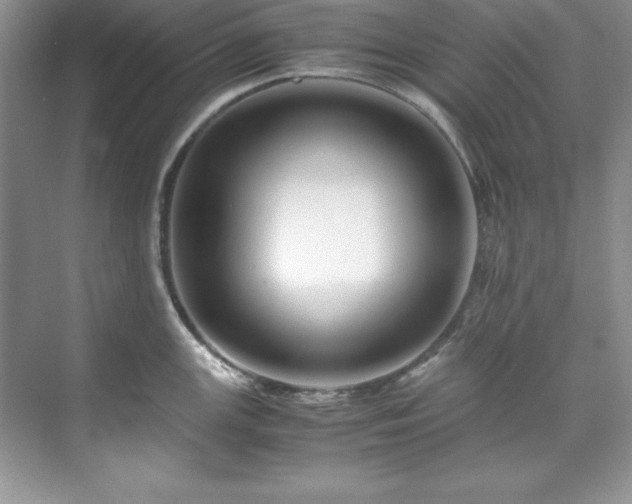 X0000071791147200607071449