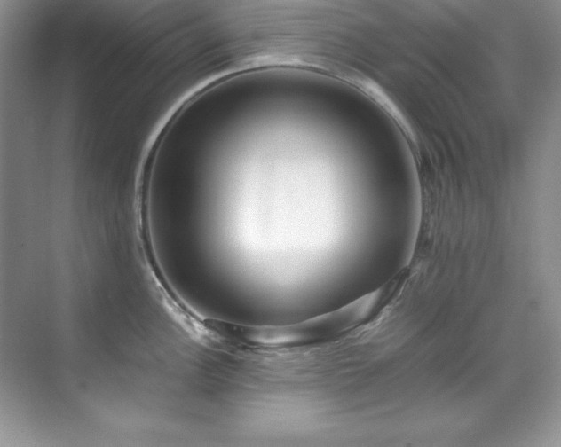 X0000071791148200607071449