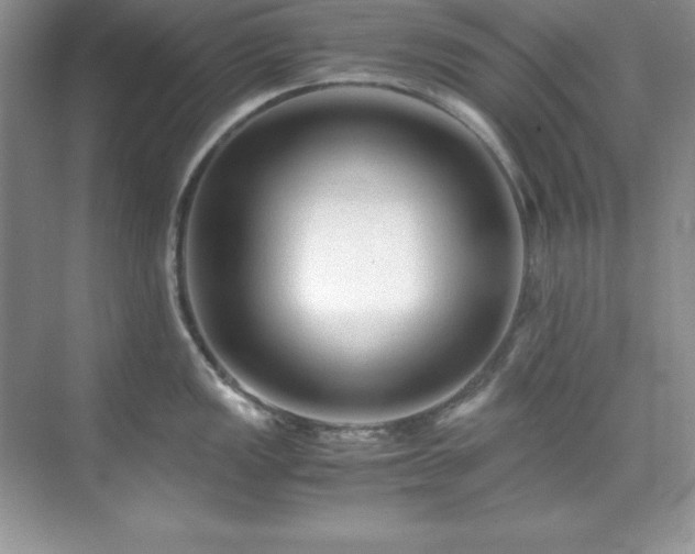 X0000071791149200607071449