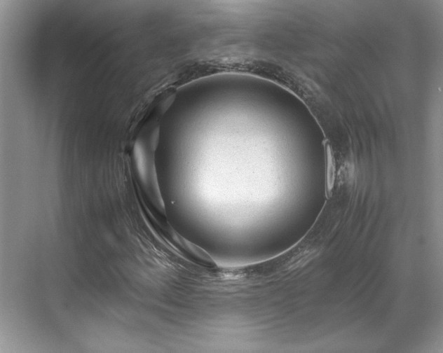 X0000071791156200607071448