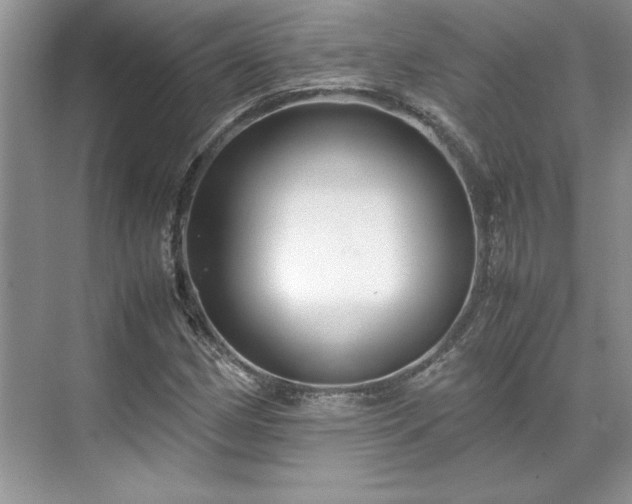 X0000071791162200607071448