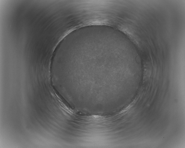 X0000071791170200607071448