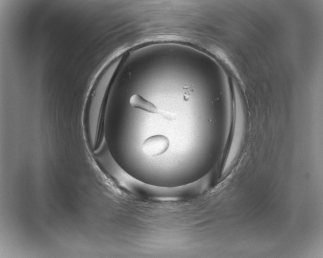 X0000071791181200607071448